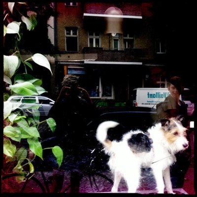 tumblr_lqixvaxXe01r28sczo1_1280